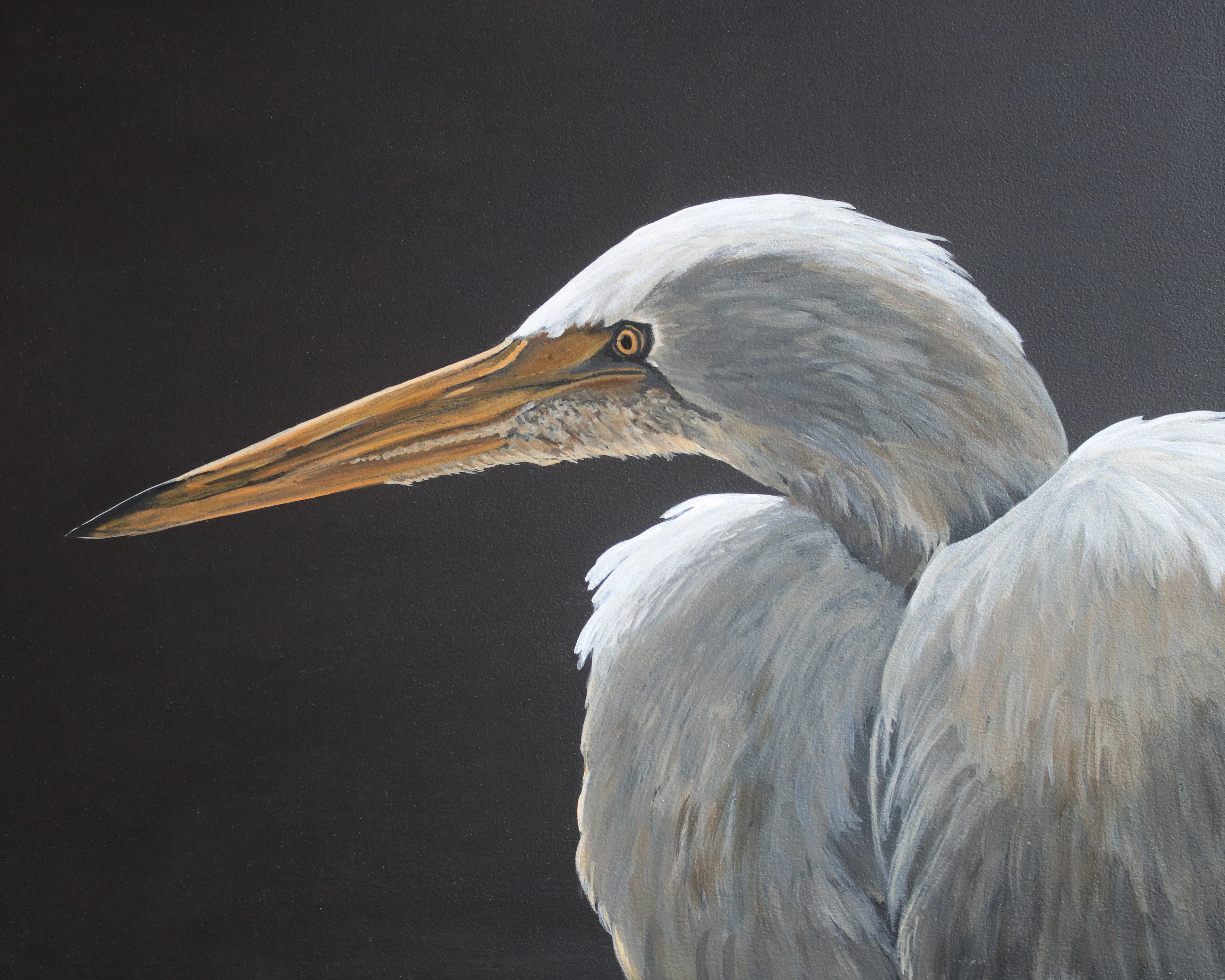 Featured wildlife artwork